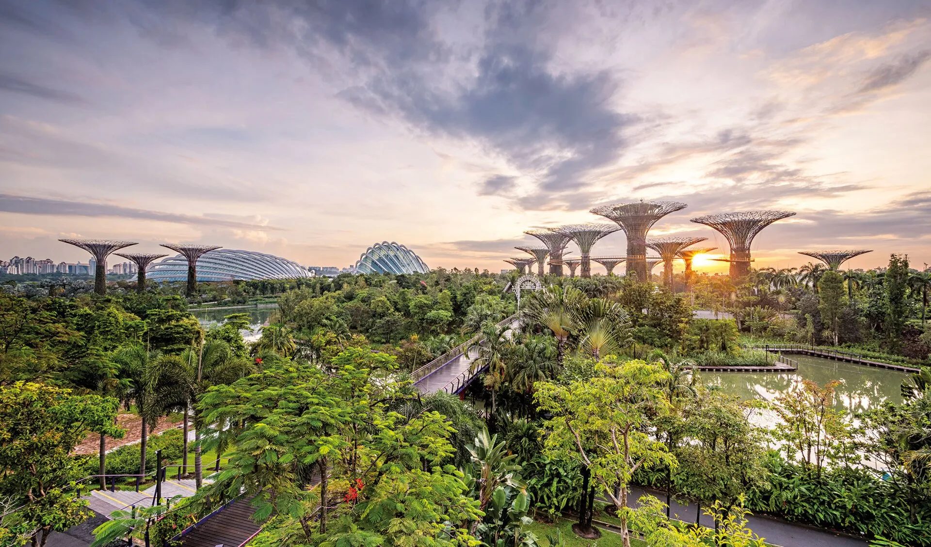 Gardens by the Bay at sunset, with the Supertrees against a Singapore sky