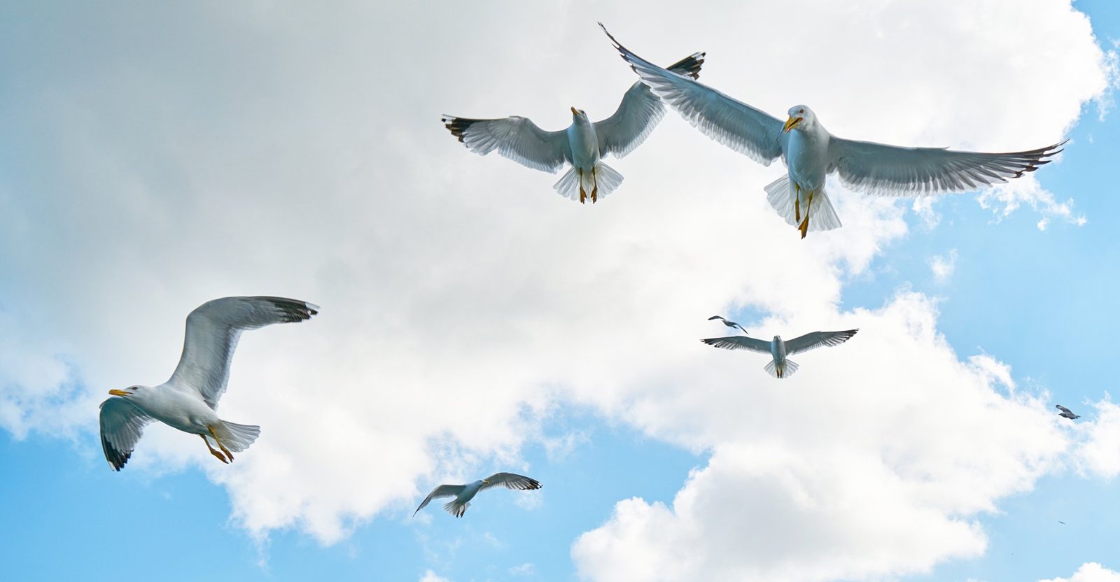 How to Overcome Your Fear of Flying