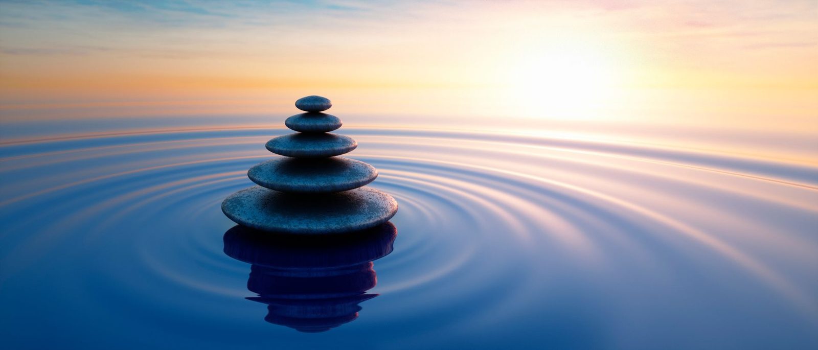 Finding Peace and Gratitude Amidst the Hustle: A Path to Inner Harmony for Professionals